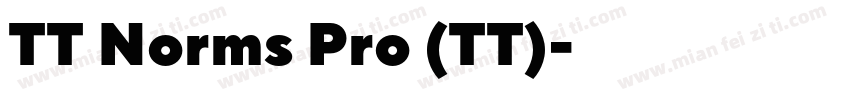 TT Norms Pro (TT)字体转换